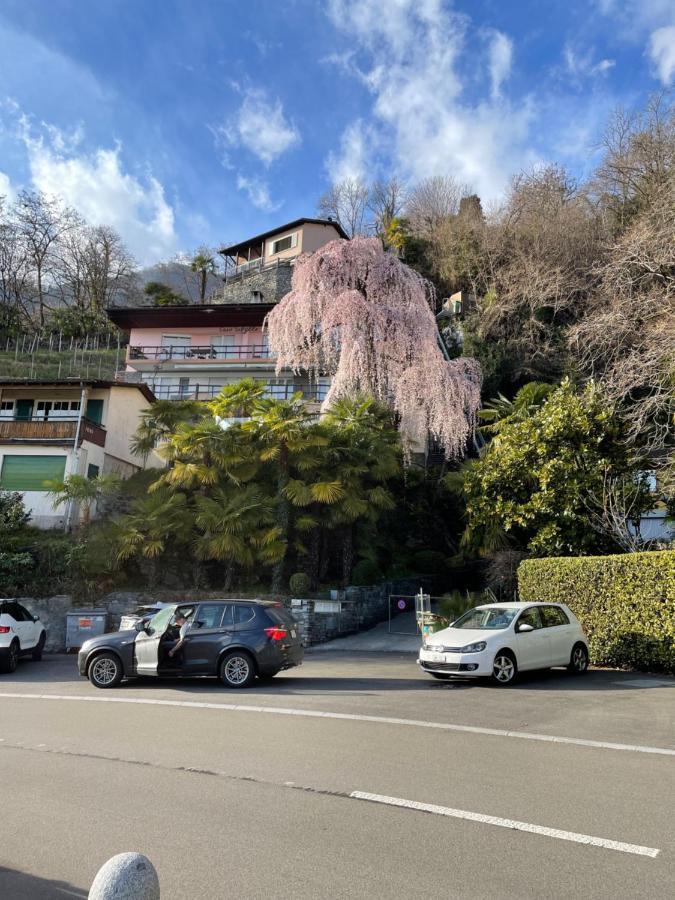 Casa Sibylle Studio - Piccolo Paradiso Minusio Экстерьер фото